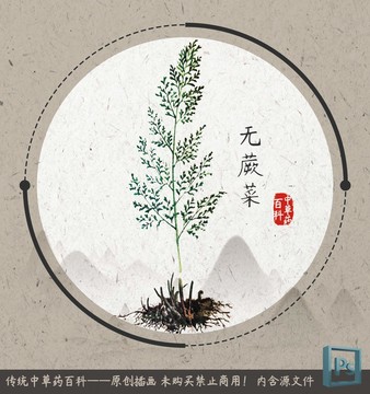 中草藥植物無蕨菜