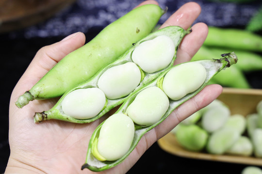 蠶豆