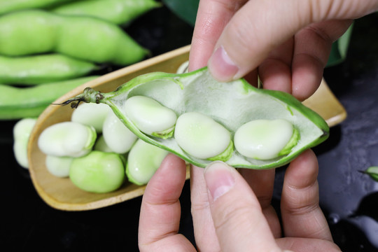 蠶豆