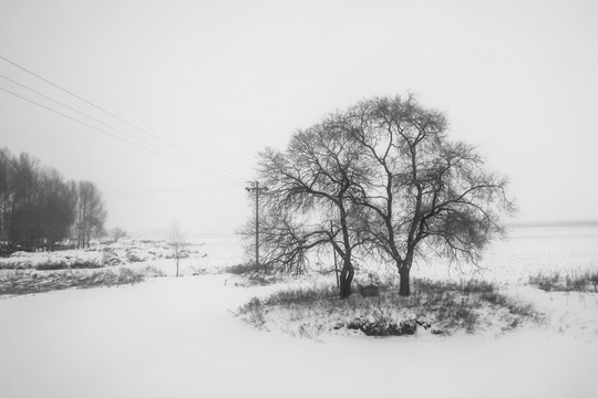 齐齐哈尔雪原1