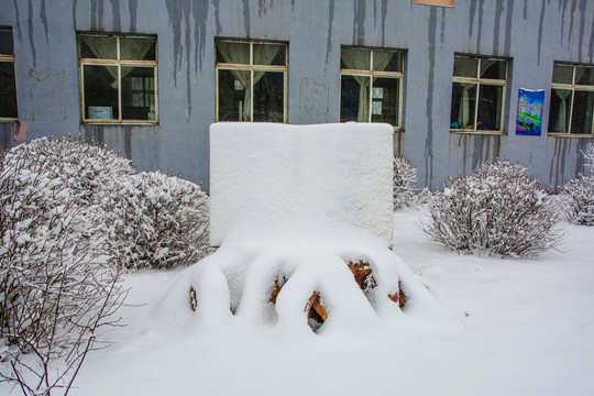 长方形造型石挂雪树木丛雪景