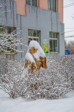挂着雪挂的树木丛与艺术石雪景