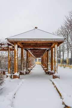 校园长廊凉亭与廊内小路雪景