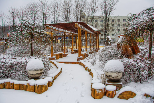 校园花园长廊人行小路与树雪景