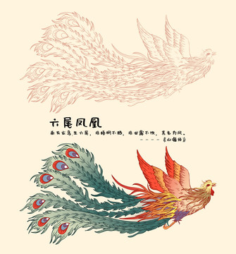 山海经六尾凤凰高清线稿上色插画