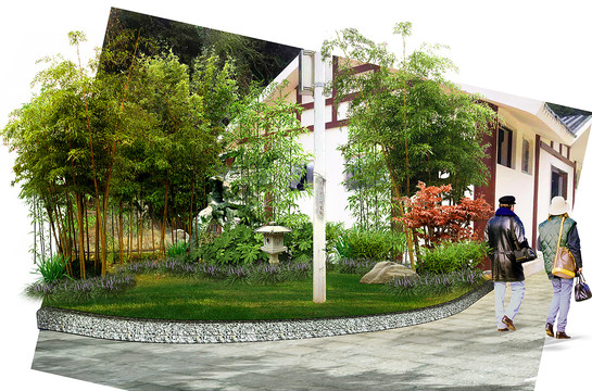 園林植物效果圖