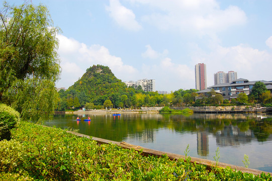 城市湿地风光