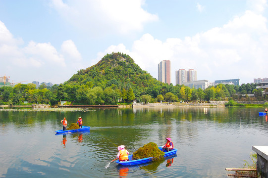 城市湿地风光