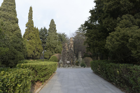 青岛海洋大学