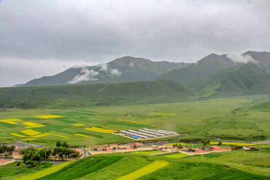 青海田园乡村风光