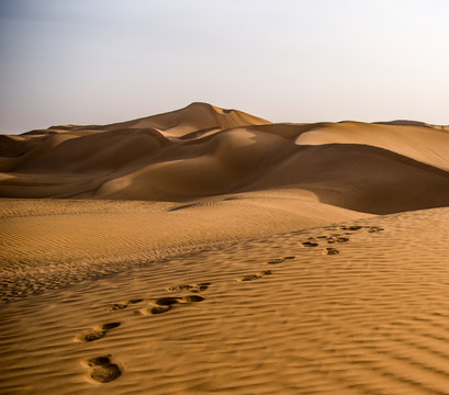 沙漠中沙丘上的足迹