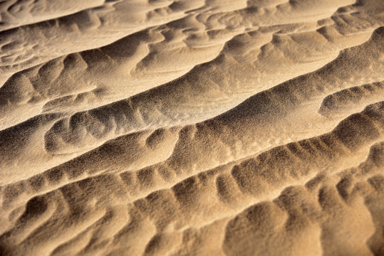 沙漠沙丘纹理特写
