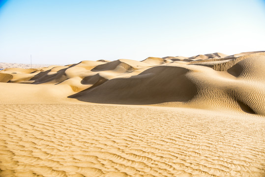 沙漠中的金色沙丘