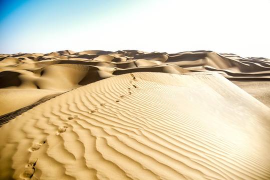 沙漠中沙丘上的足迹