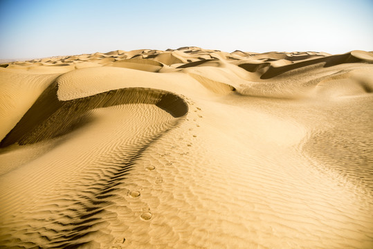 沙漠中的金色沙丘