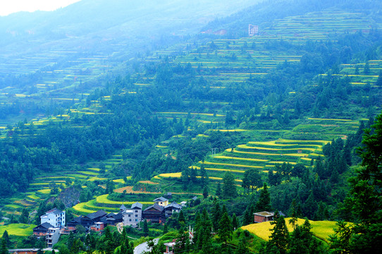 贵州肇兴侗寨堂安梯田秋景