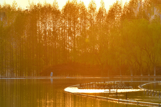 任城湿地公园