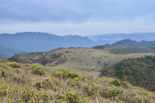 高山四