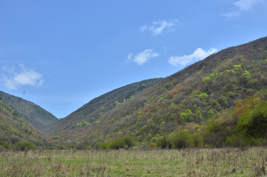 高山草原三