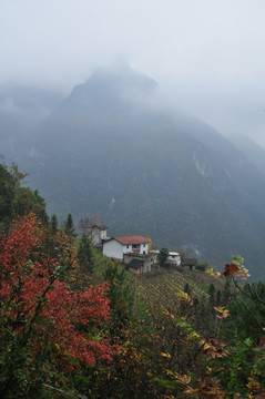 山里人家