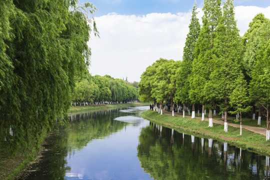 昆明城市风光采莲河自然景观