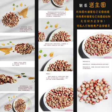 熊貓豆淘寶產(chǎn)品詳情頁