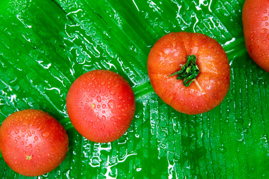新鲜果蔬西红柿