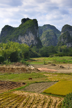 壮族原生态山村