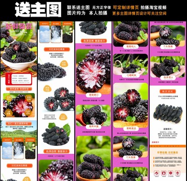 桑葚詳情頁