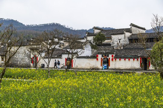 西递古村景区