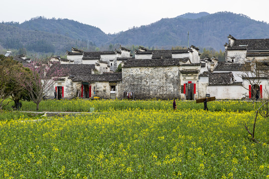 西递古村景区