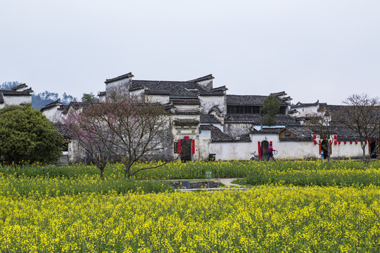 西递古村景区