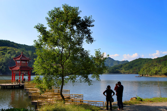 龙湖湿地