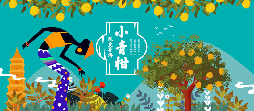 新會(huì)小青柑普洱茶柑普茶包裝插畫