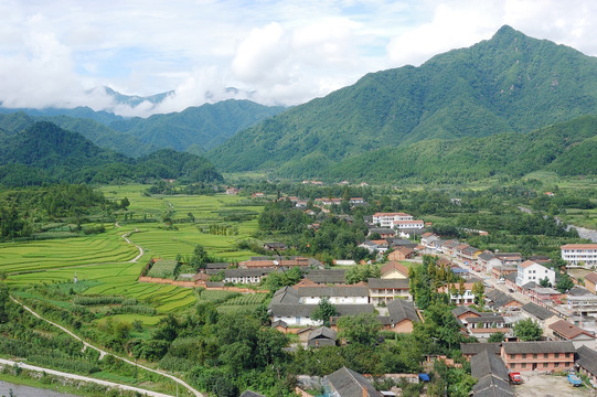 田野