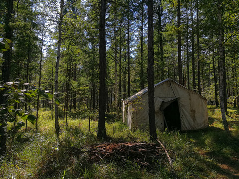 森林帐篷