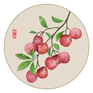 手繪荔枝