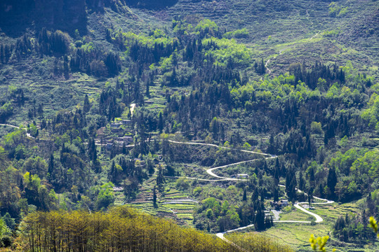 山村