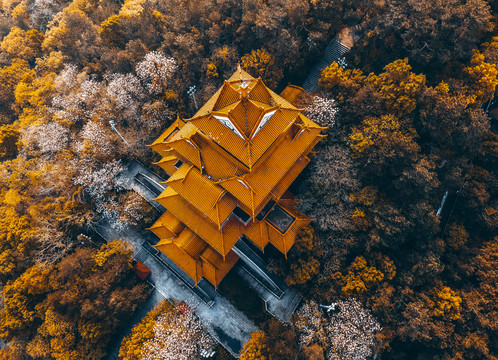 武汉东湖磨山景区楚天台航拍