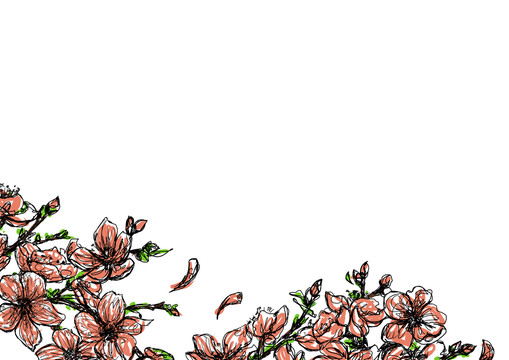 桃花