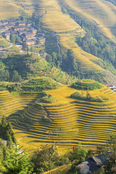 龙脊梯田自然景观