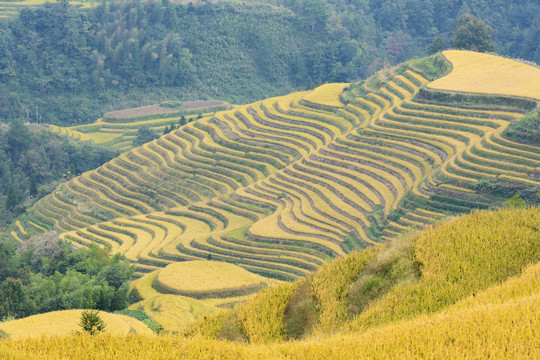 龙脊梯田自然景观