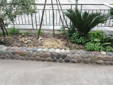 鹅卵石花坛