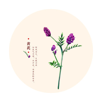 黃芪