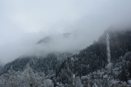 毕棚沟雪景