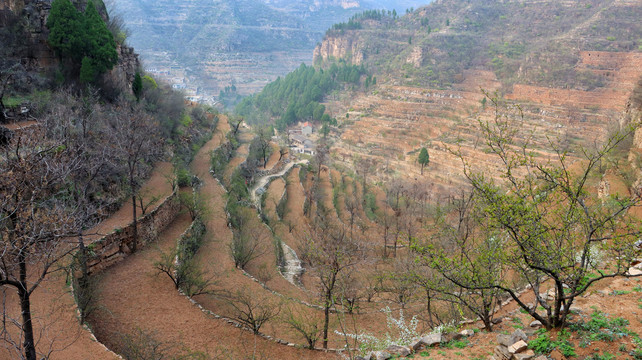 山里梯田