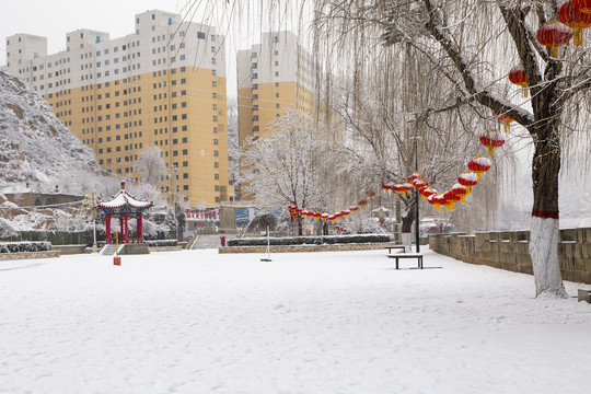 雪景