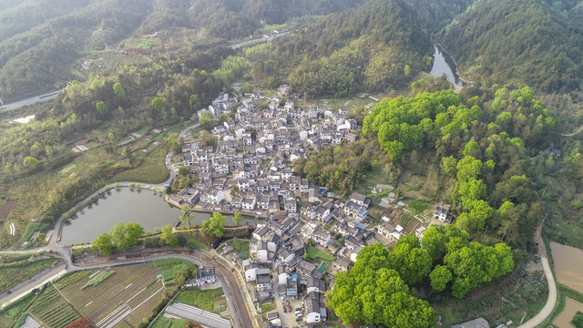 美丽乡村琶塘