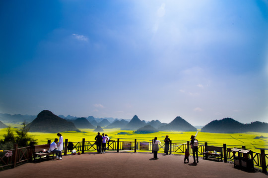 油菜花观景台