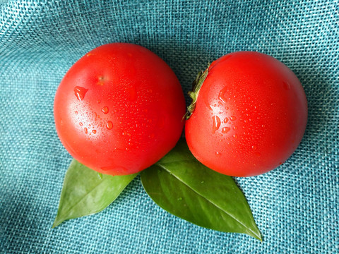 蔬果番茄